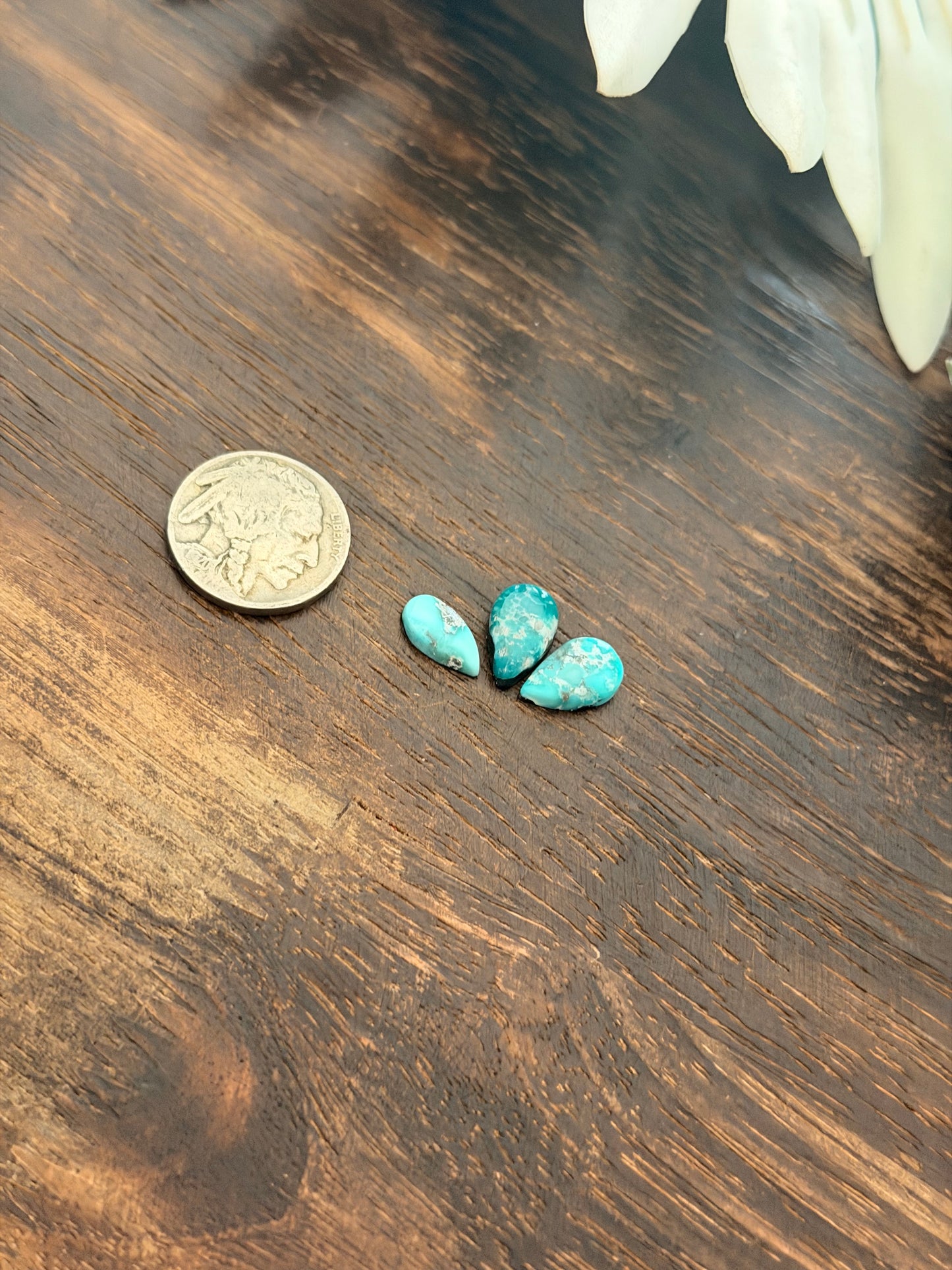 White Water Turquoise Cabs