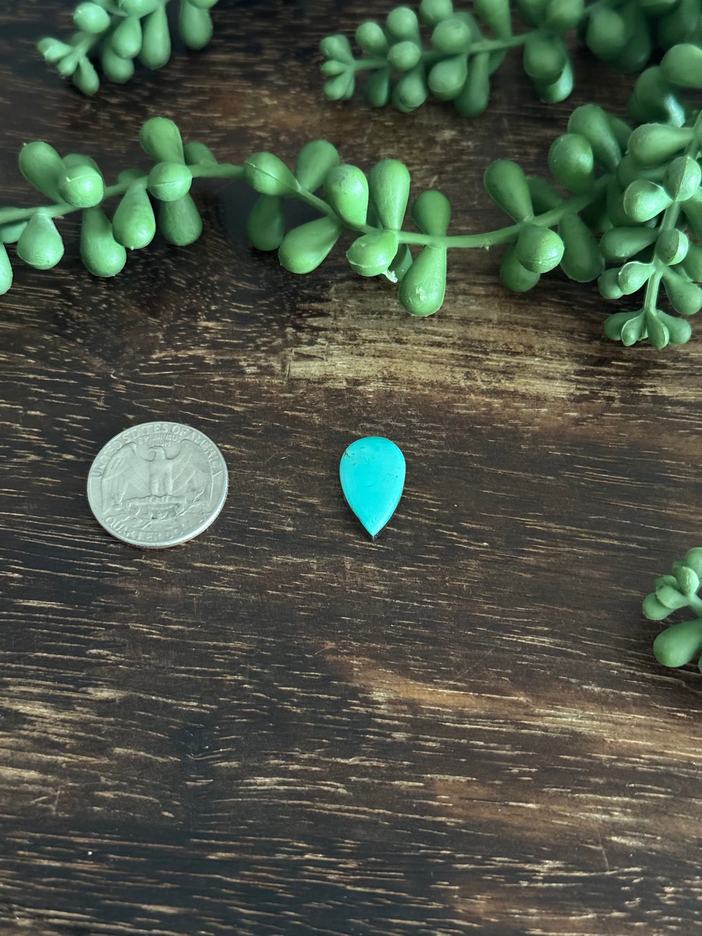 Kingman Turquoise Cab