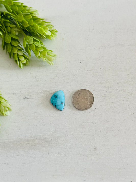 Blue Bird Turquoise Cab