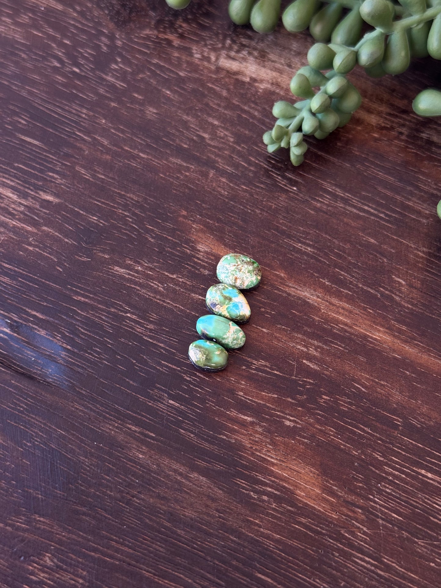 Sonoran Mountain Turquoise Cabs