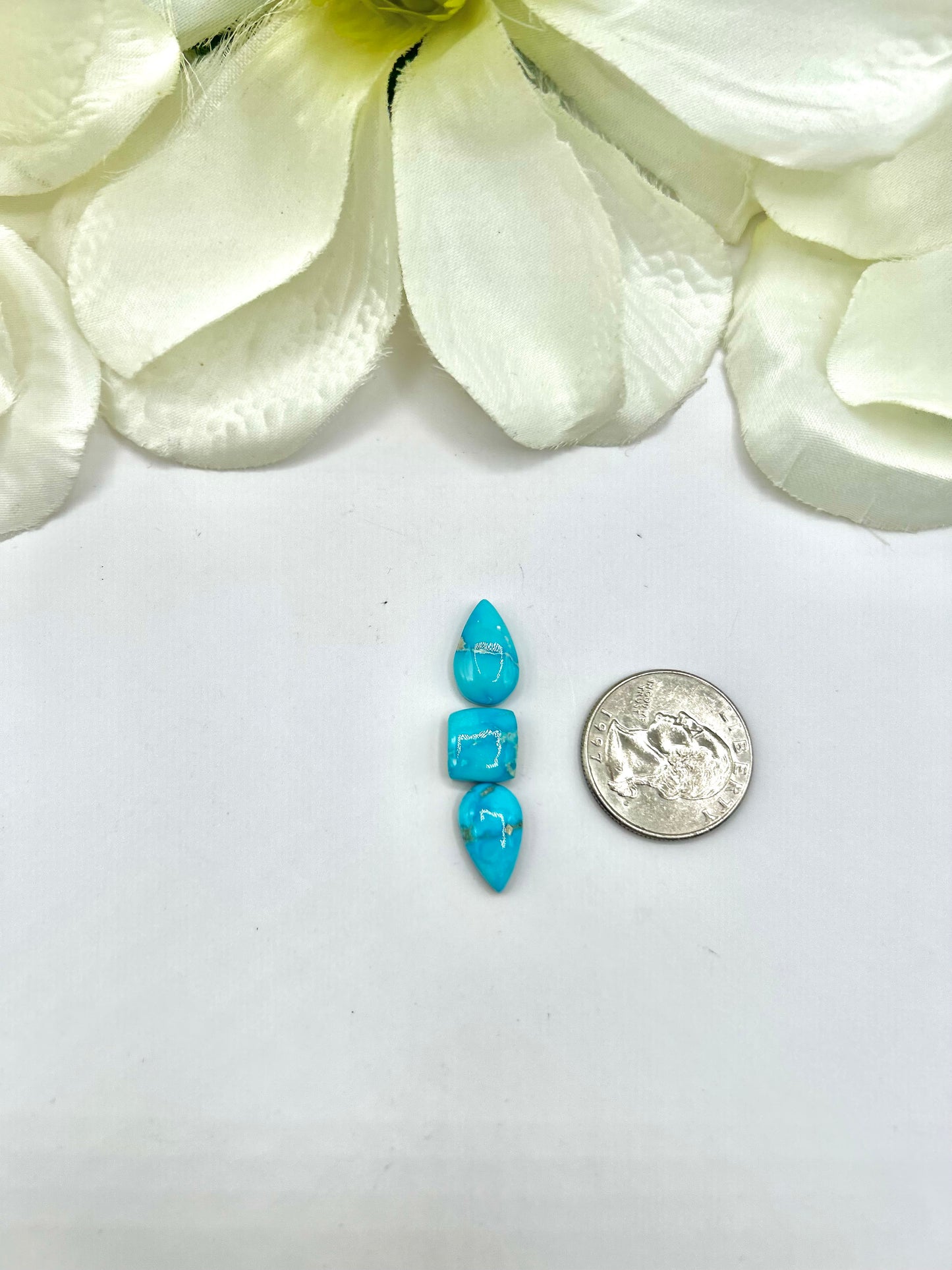 Blue Ridge Turquoise Cabs