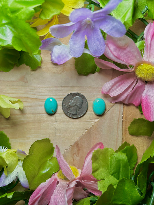 Kingman Turquoise Cabs