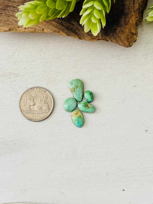 Natural Sonoran Gold Turquoise Cabs