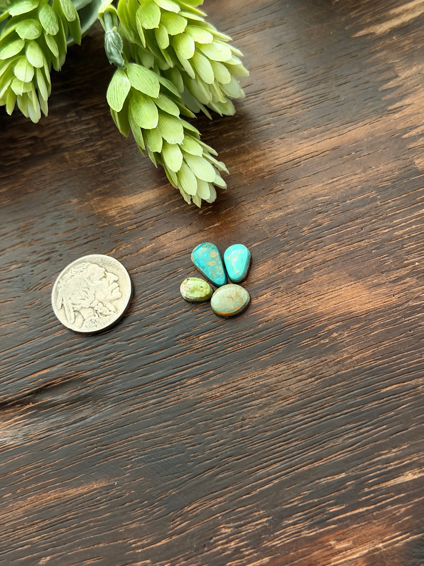 Evans Turquoise Cabs