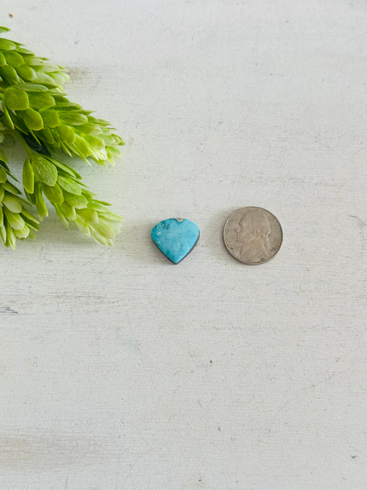 Blue Bird Turquoise Cab