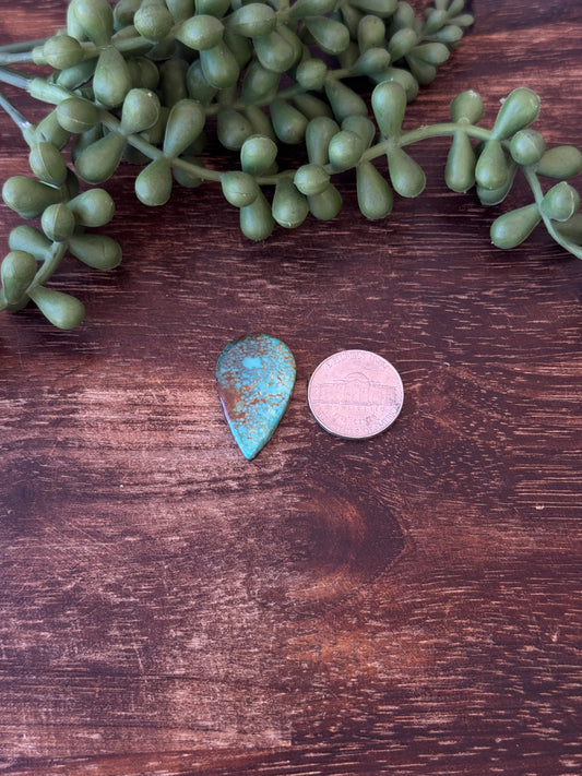 Kingman Turquoise Cab