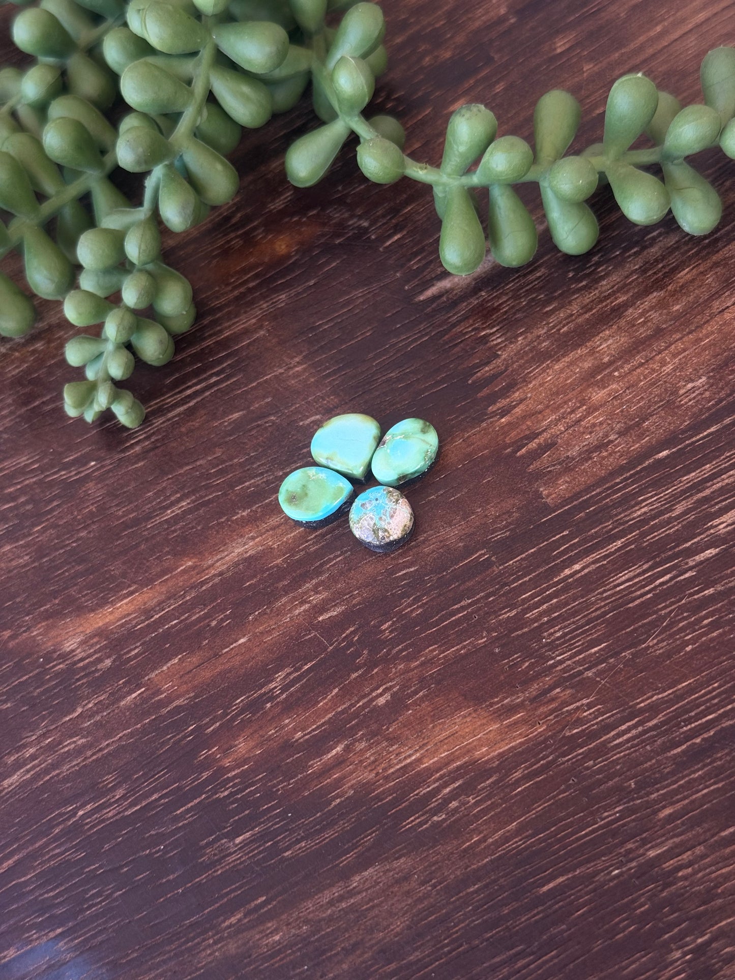 Sonoran Mountain Turquoise Cabs