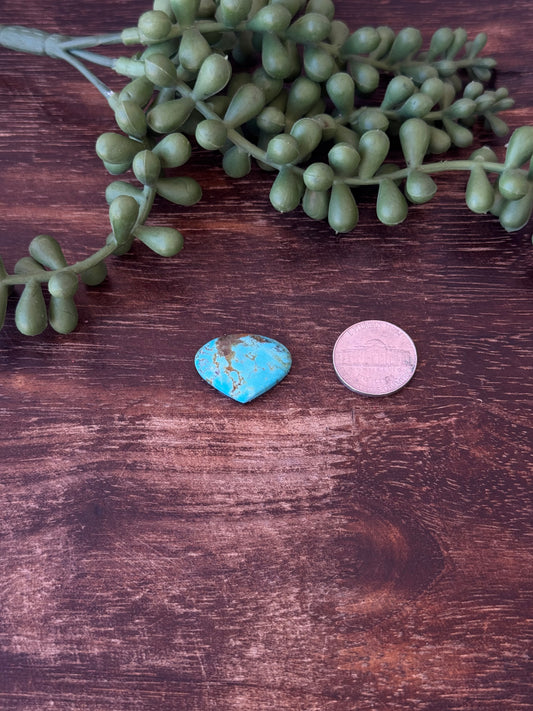 Kingman Turquoise Cab