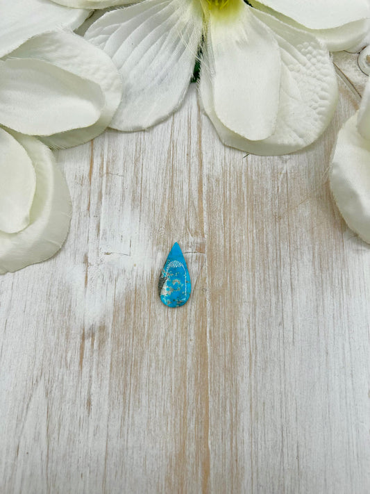 Blue Ridge Turquoise Cab