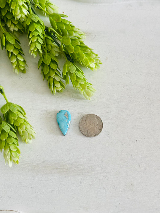 Blue Bird Turquoise Cab