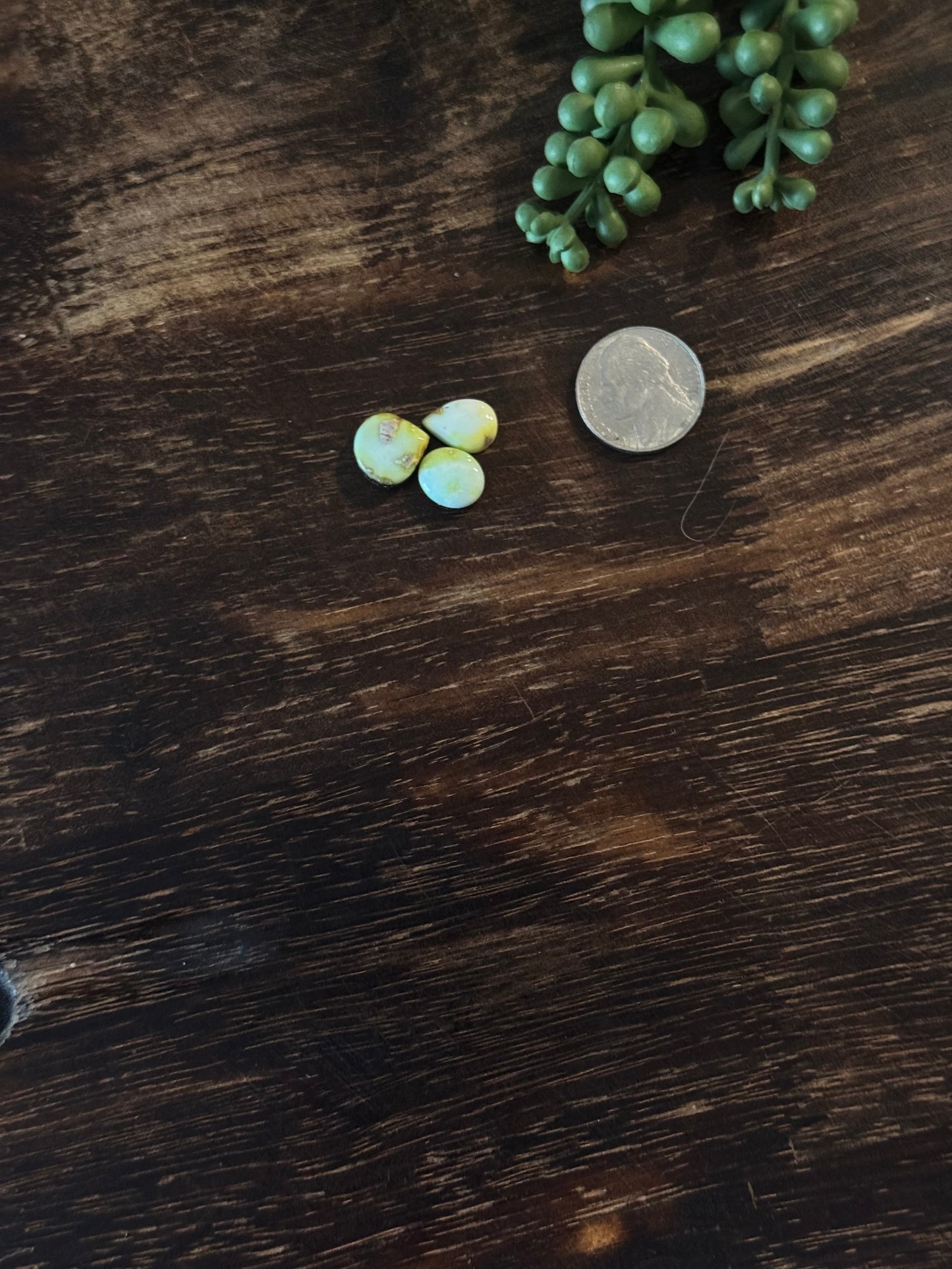 Palomino Variscite Cabs
