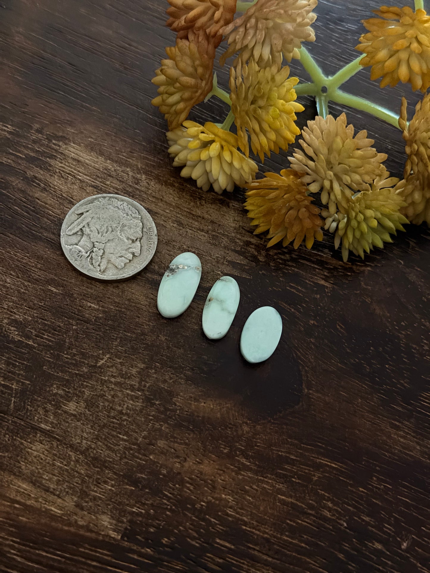 Paloma Variscite Cabs