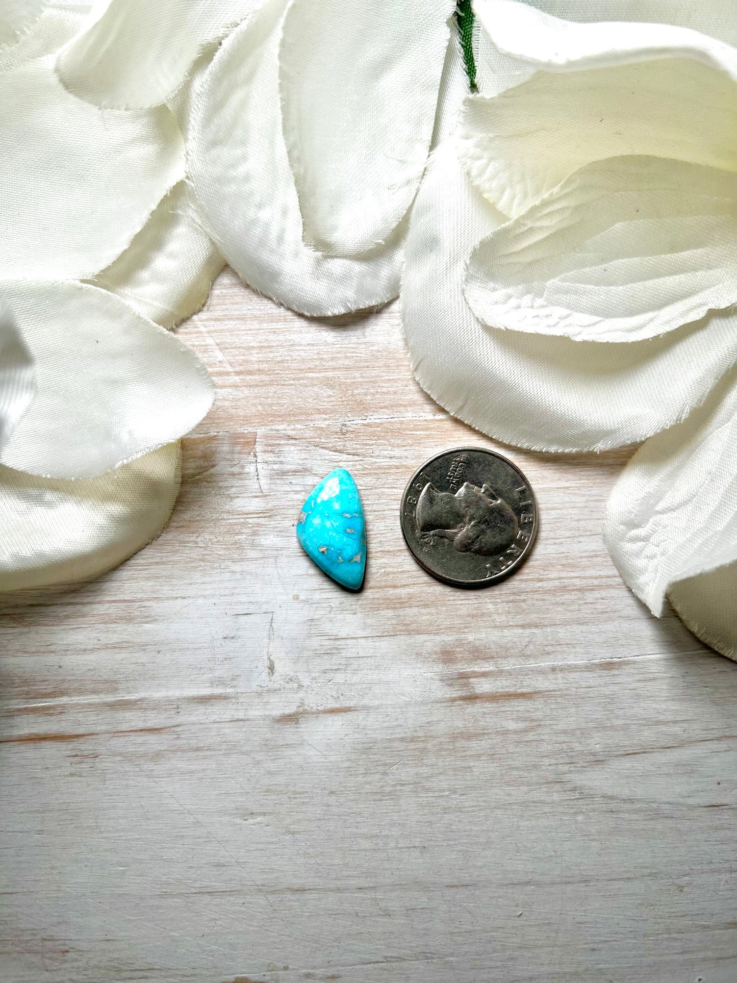 Blue Ridge Turquoise Cab
