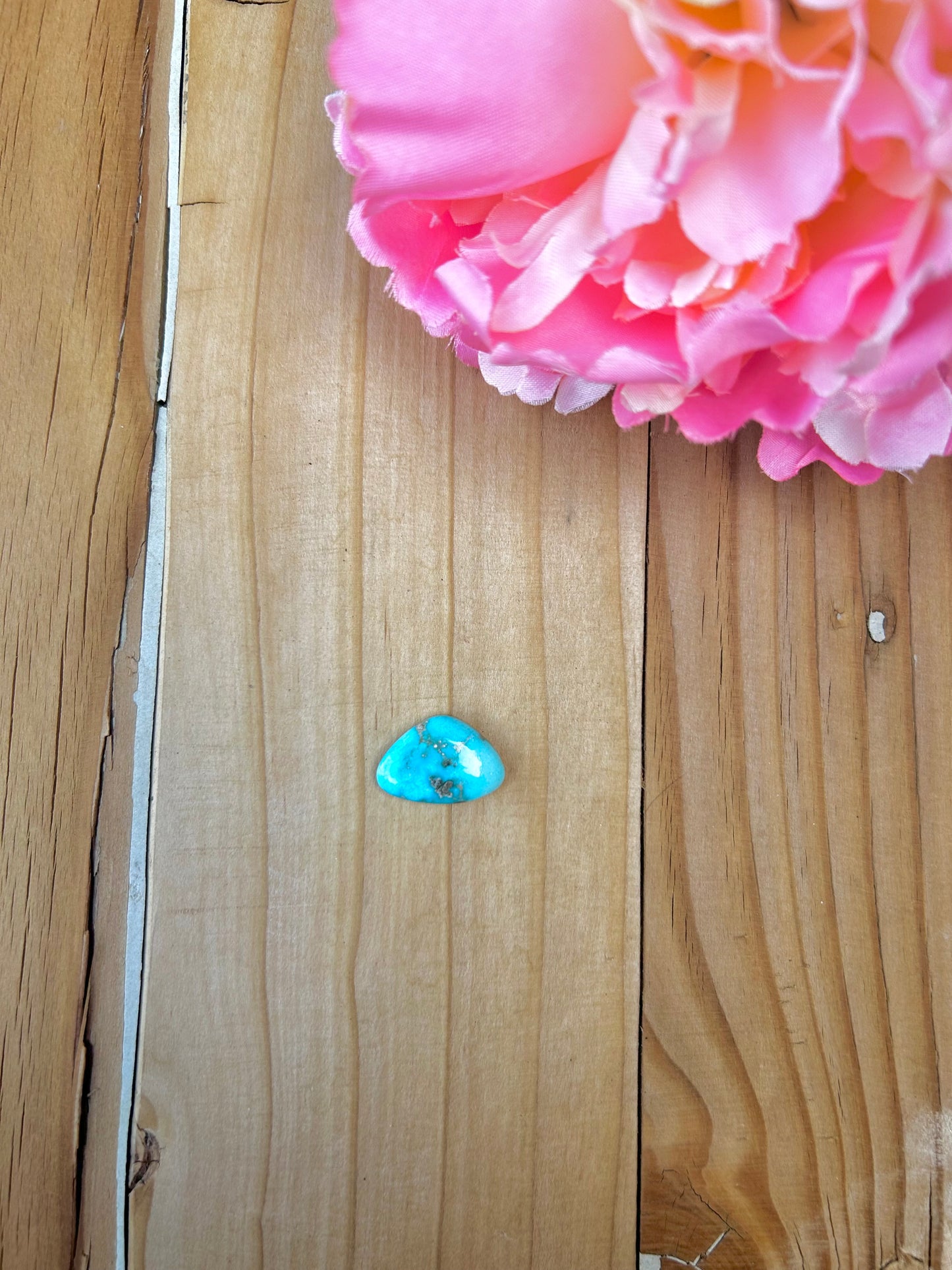 Blue Bird Turquoise Cabs