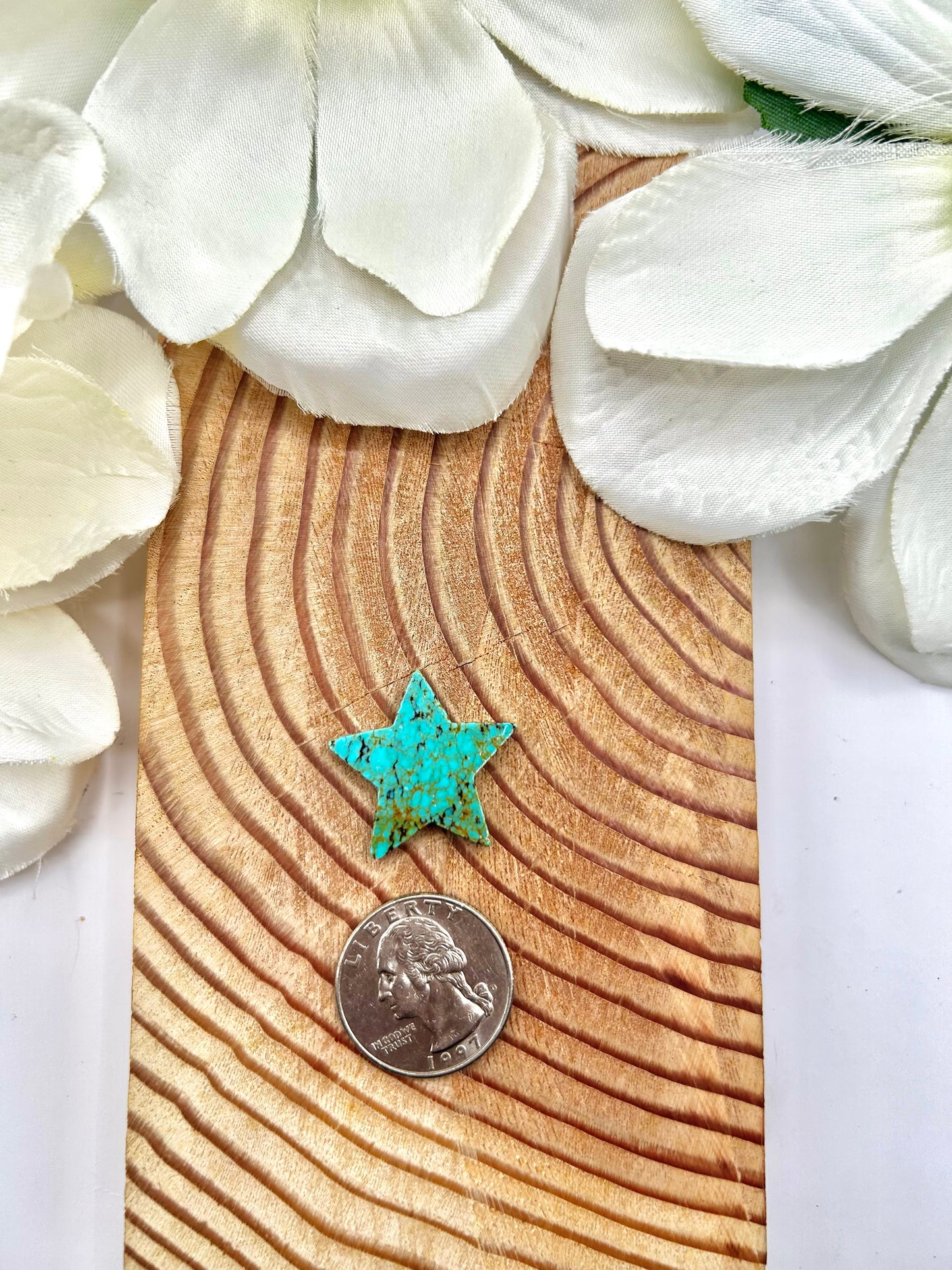 Red Skin Turquoise Cab