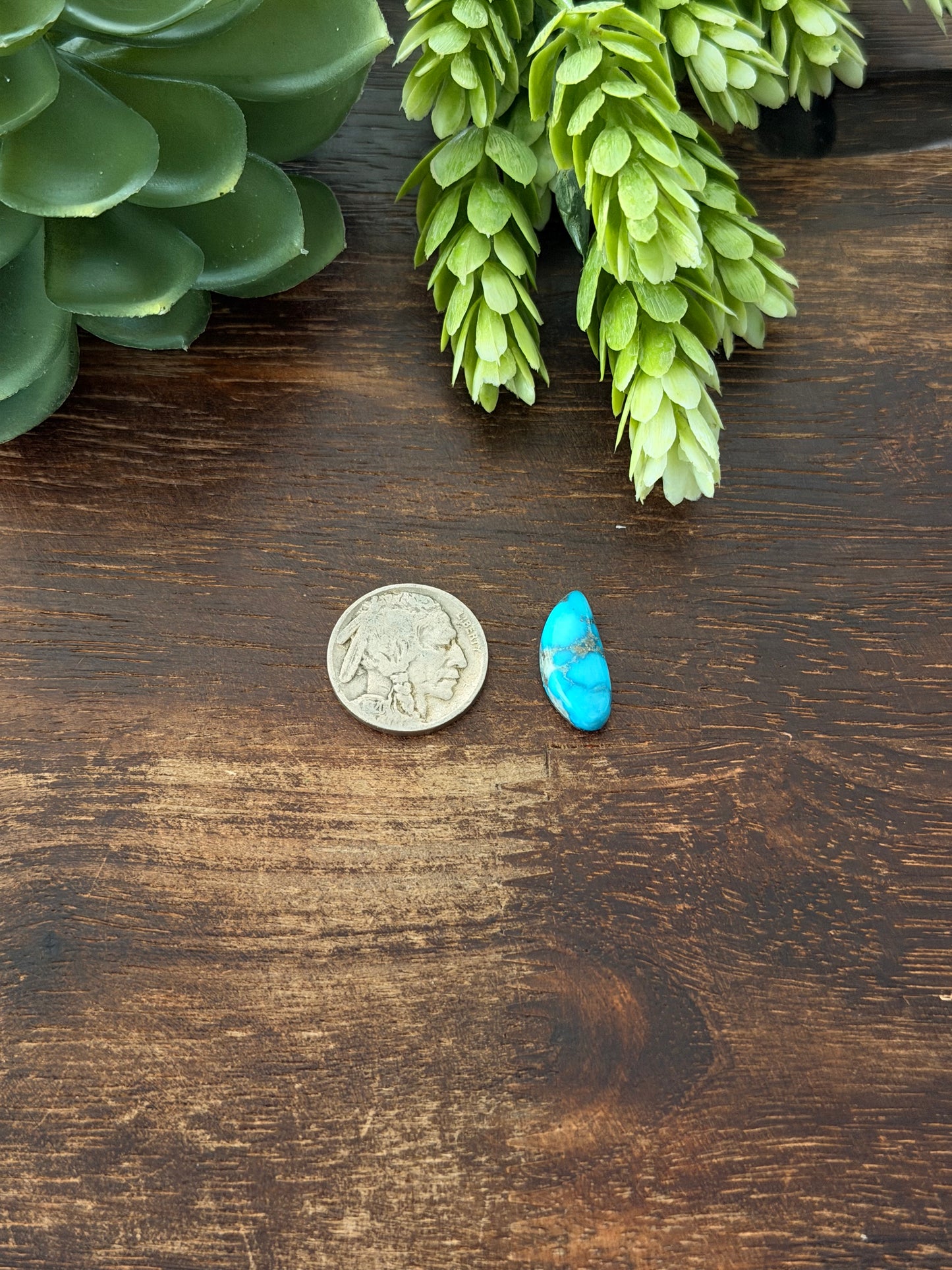 Blue Bird Turquoise Cab