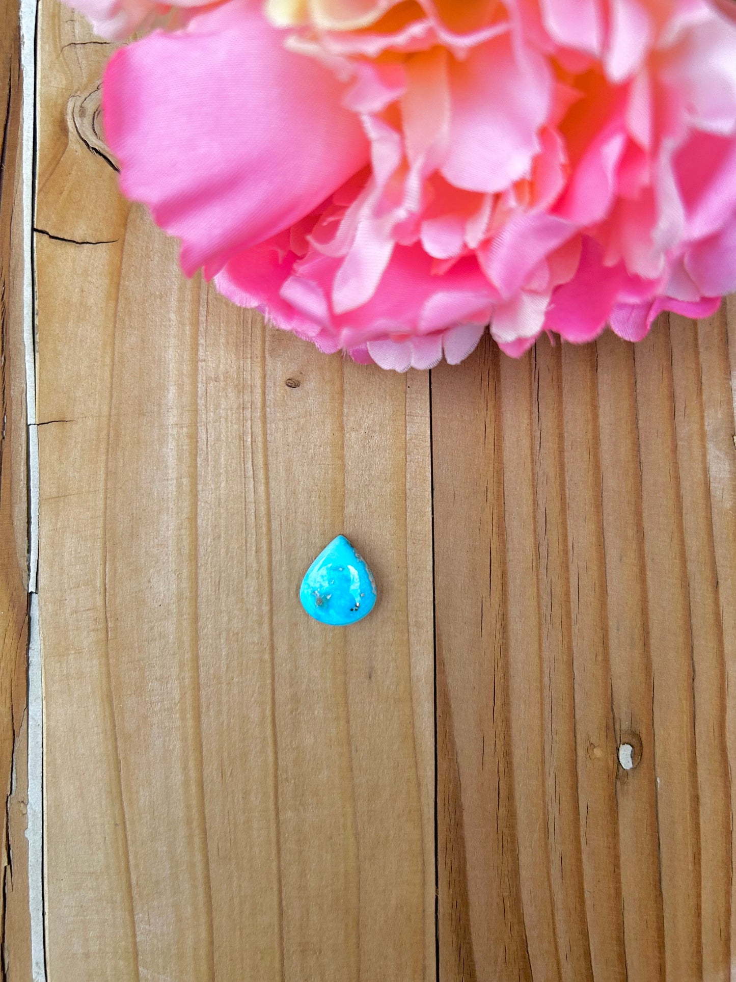 Blue Bird Turquoise Cabs