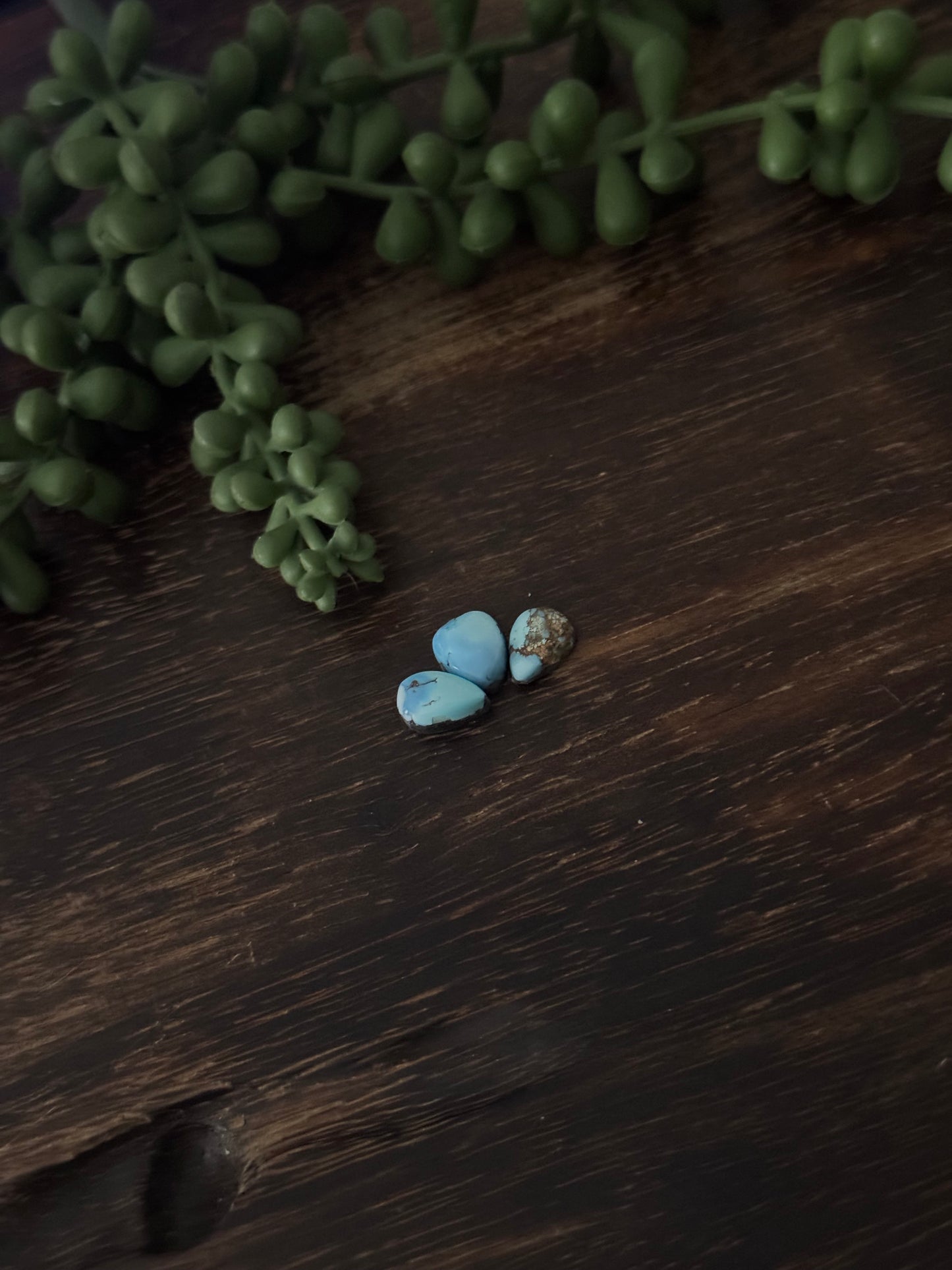 Golden Hills Turquoise Cabs