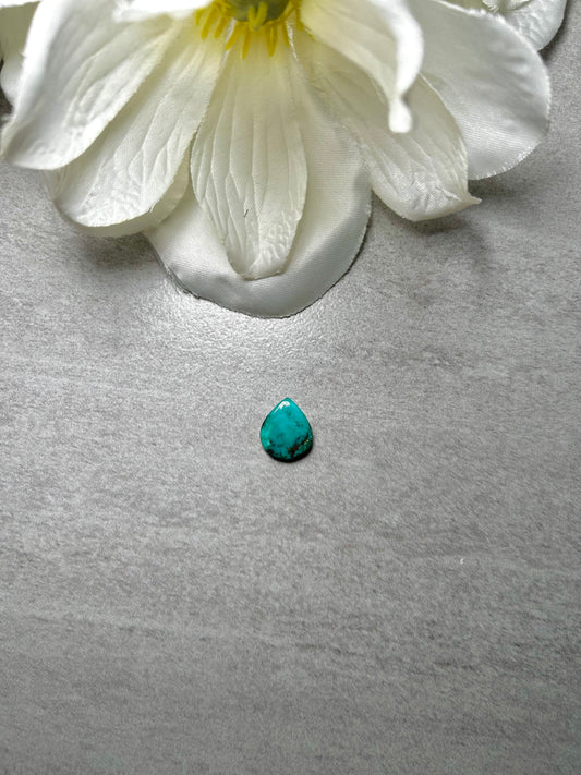 Kingman Turquoise Cab