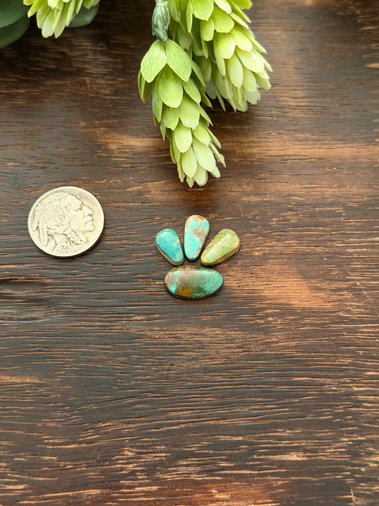 Evans Turquoise Cabs