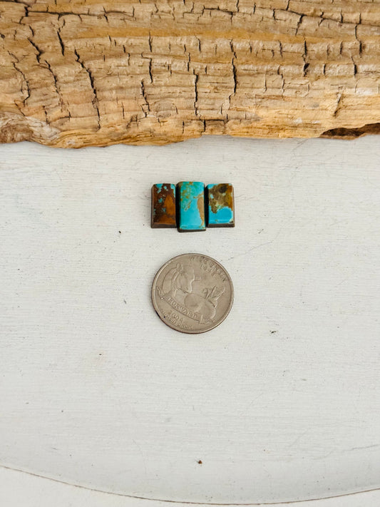 Natural Kings Manassa Turquoise Cabs
