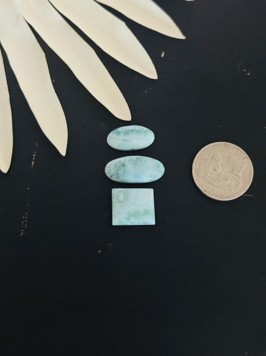 Larimar Cabs