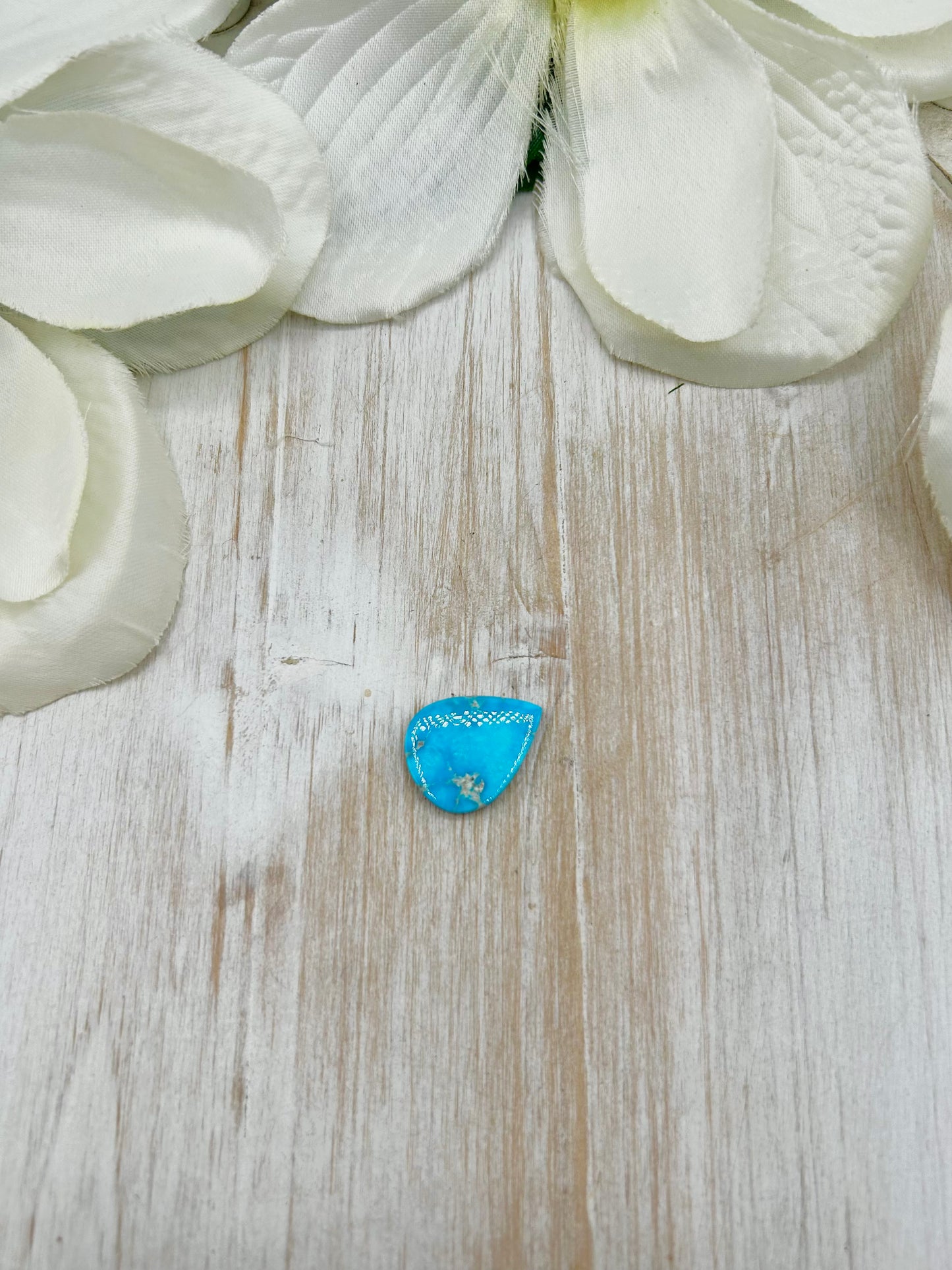 Blue Ridge Turquoise Cab