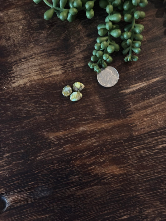 Palomino Variscite Cabs