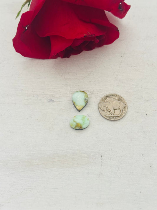 Palomino Variscite Cabs