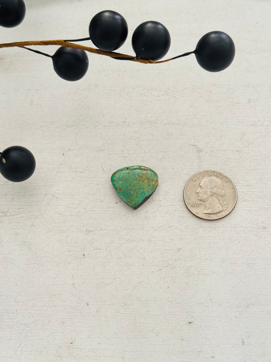 Kingman Turquoise Cab