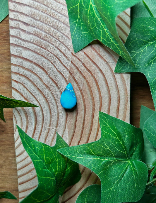 Blue Bird Turquoise Cabs