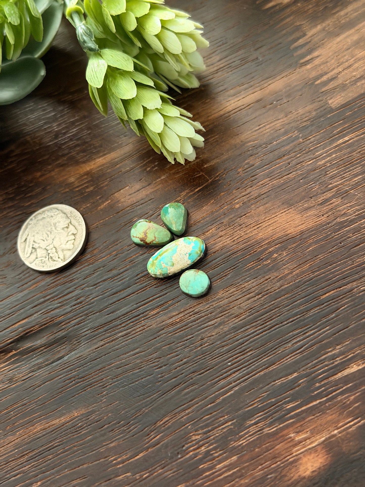 Evans Turquoise Cabs