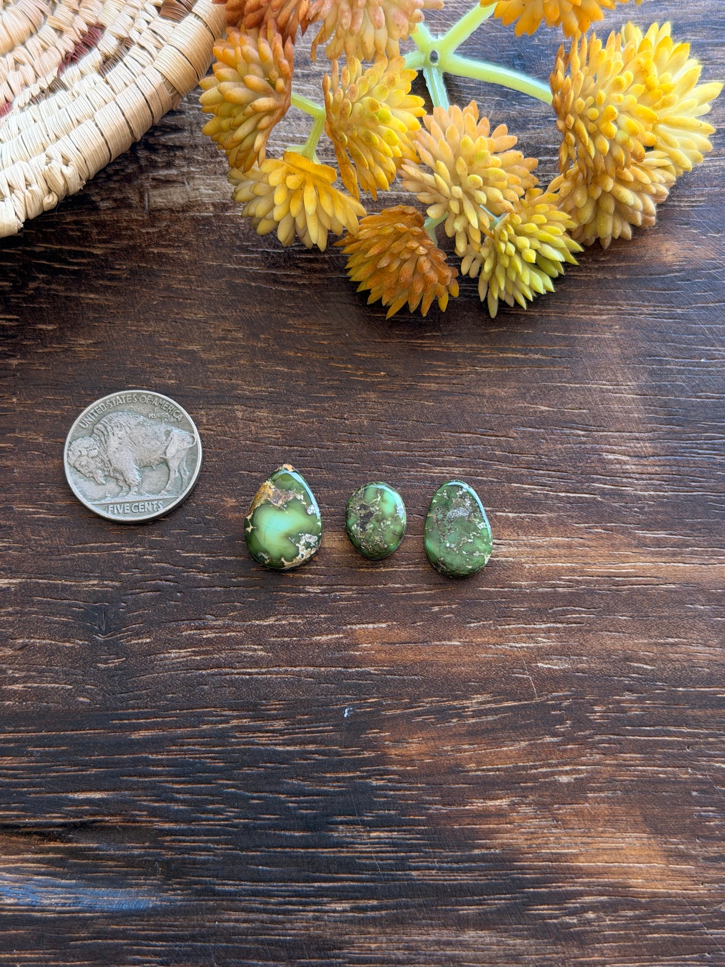 Sonoran Mountain Turquoise Cabs