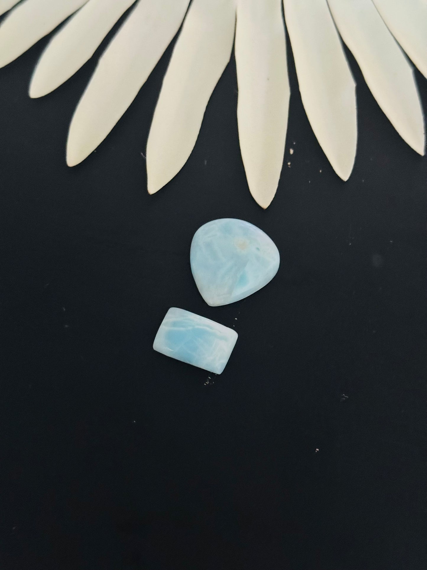Larimar Cabs