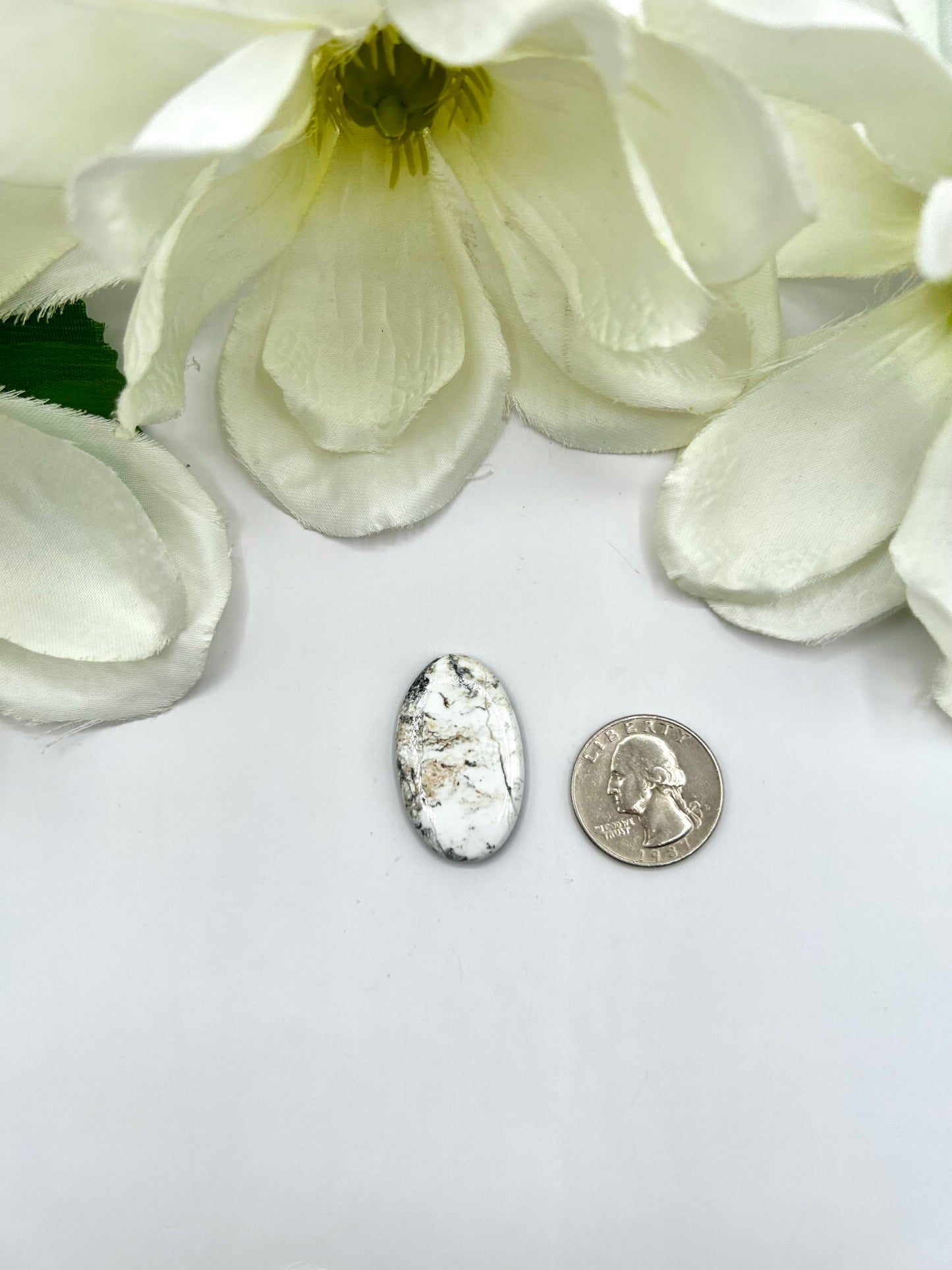 White Buffalo Cabs