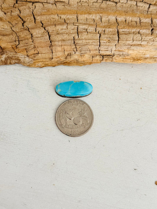Natural Kings Manassa Turquoise Cab