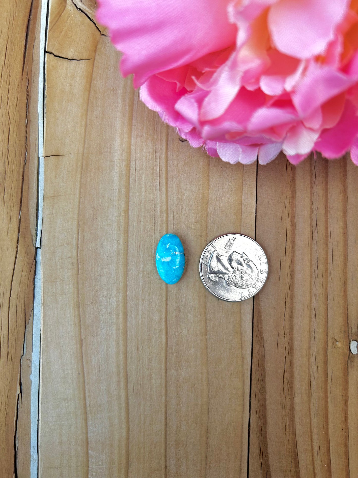 Blue Bird Turquoise Cabs