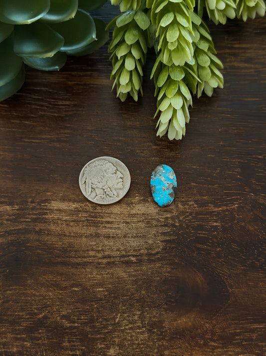 Blue Bird Turquoise Cab
