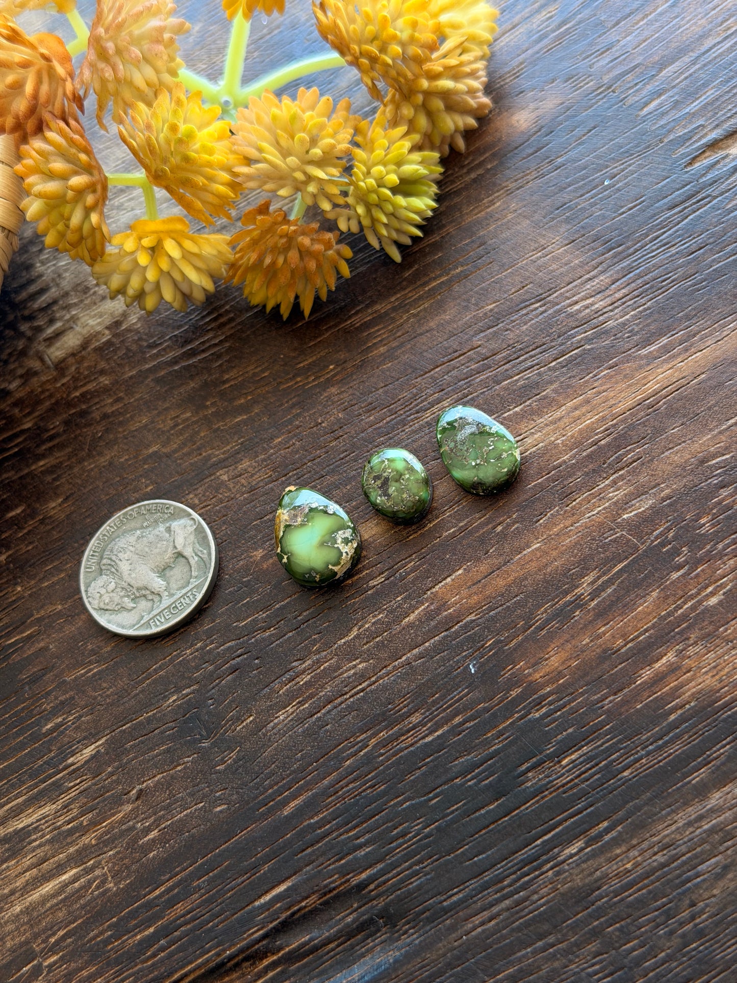 Sonoran Mountain Turquoise Cabs
