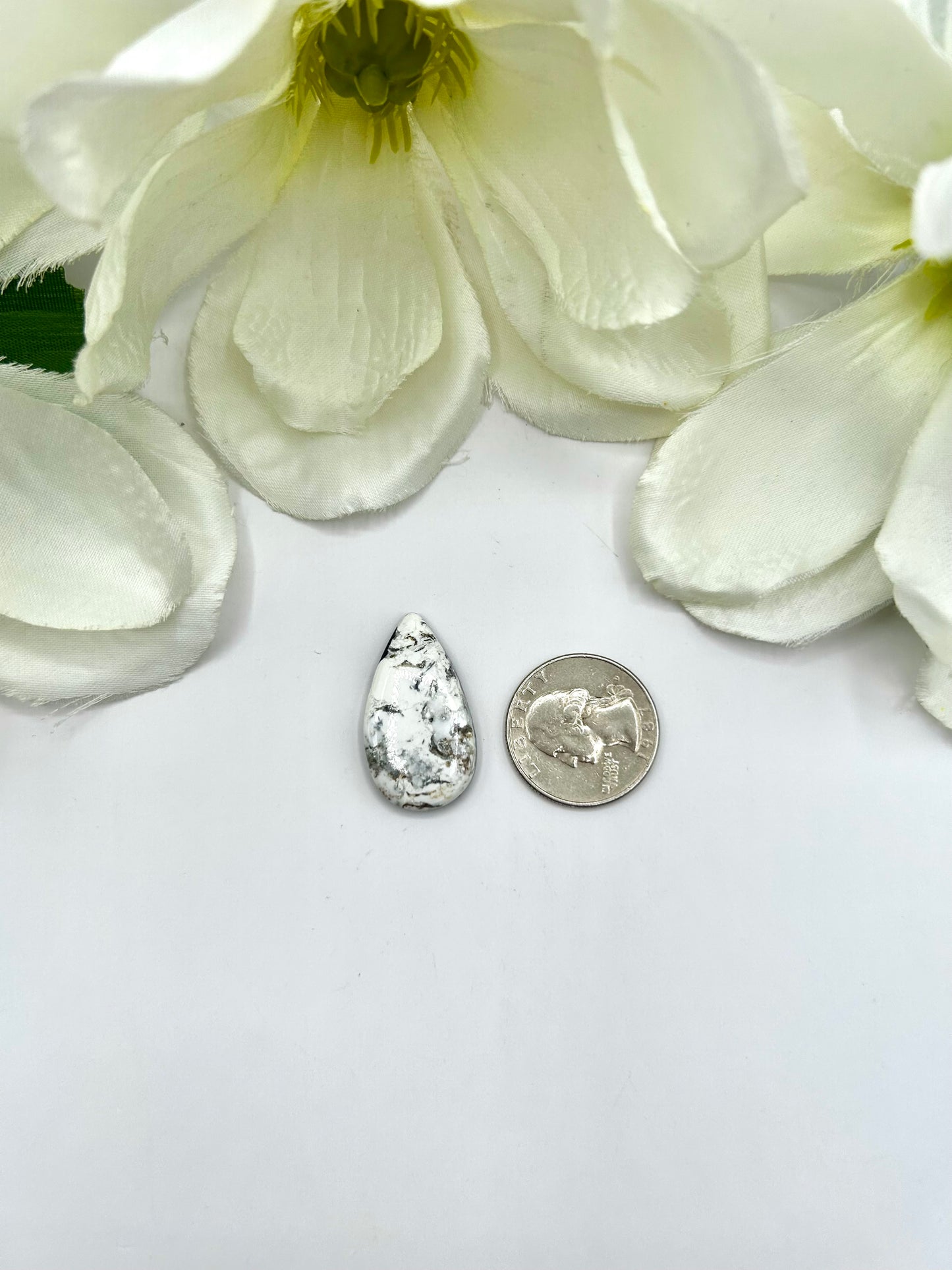 White Buffalo Cabs