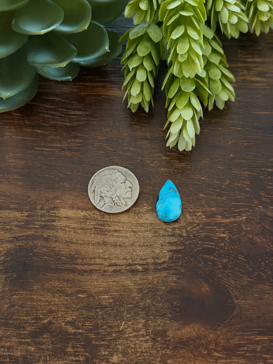 Blue Bird Turquoise Cab