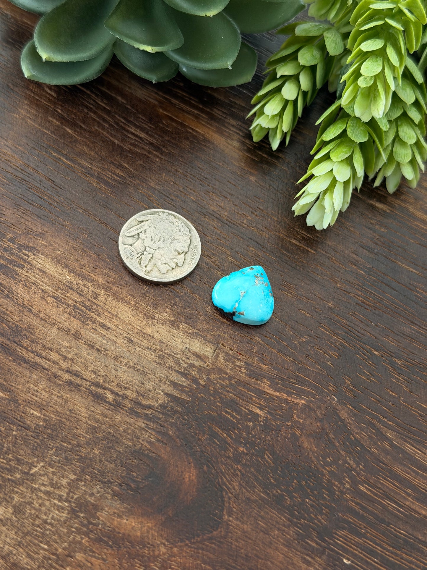 Blue Bird Turquoise Cab