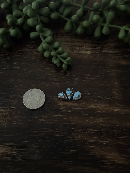 Golden Hills Turquoise Cabs