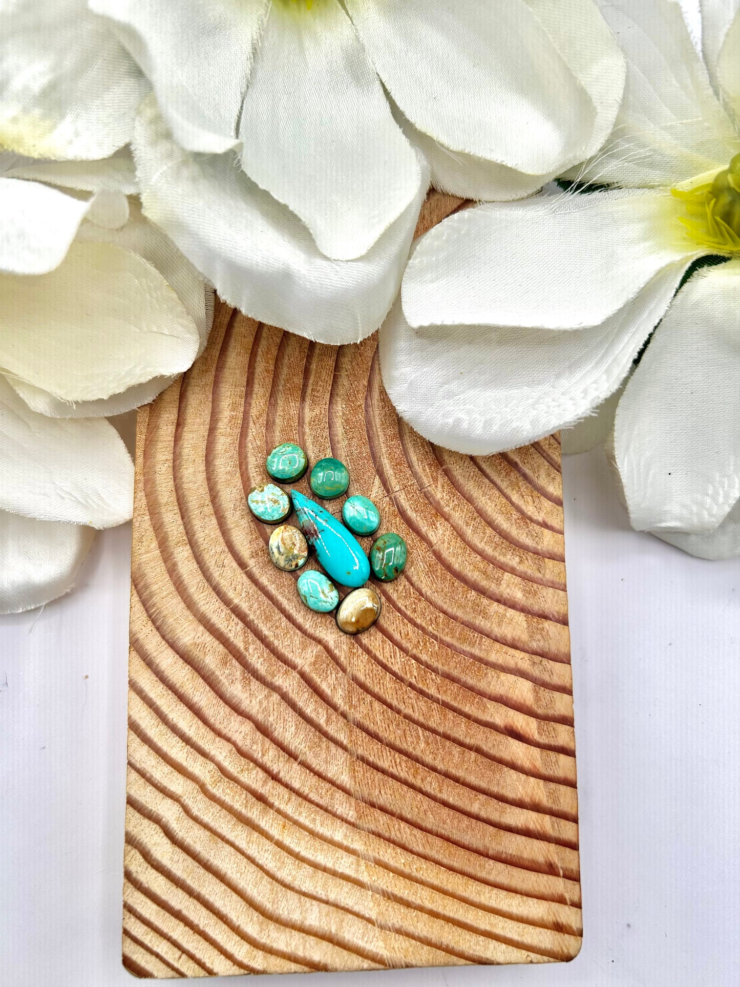 Evan’s Turquoise Backed Cabs