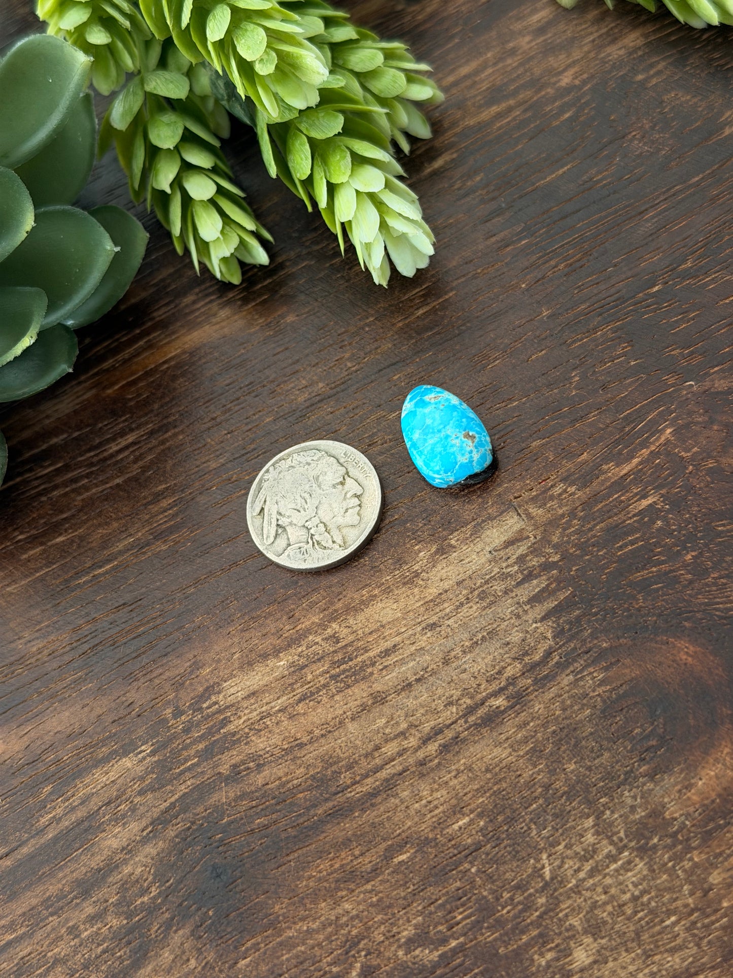 Blue Bird Turquoise Cab