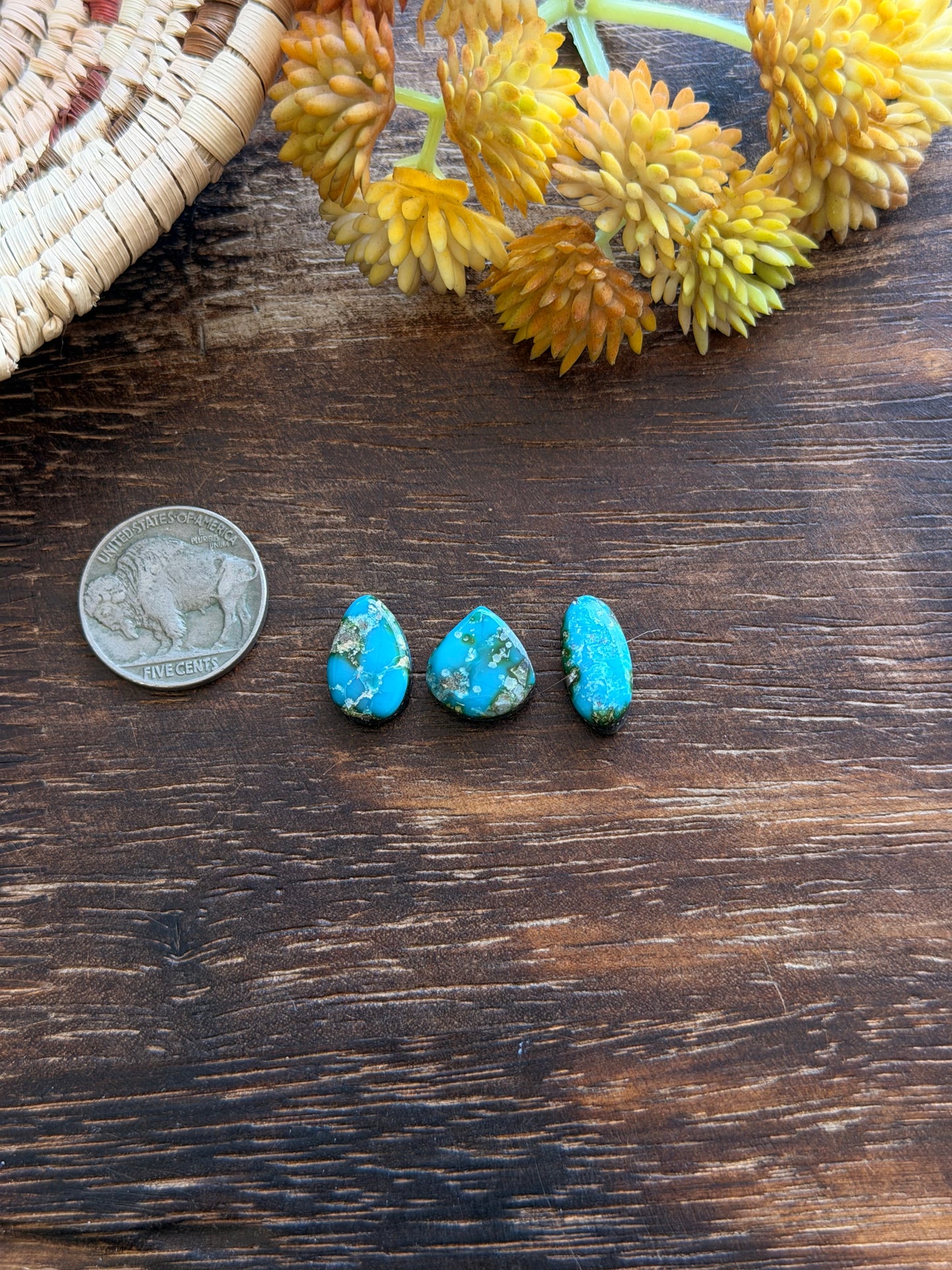 Sonoran Mountain Turquoise Cabs