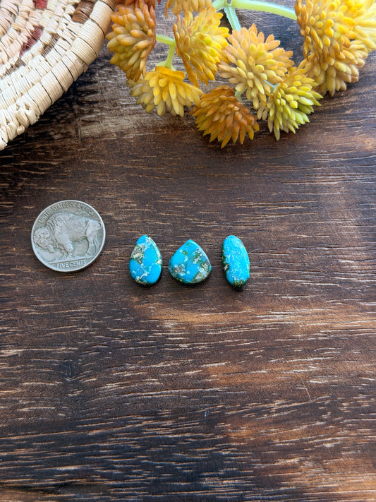 Sonoran Mountain Turquoise Cabs