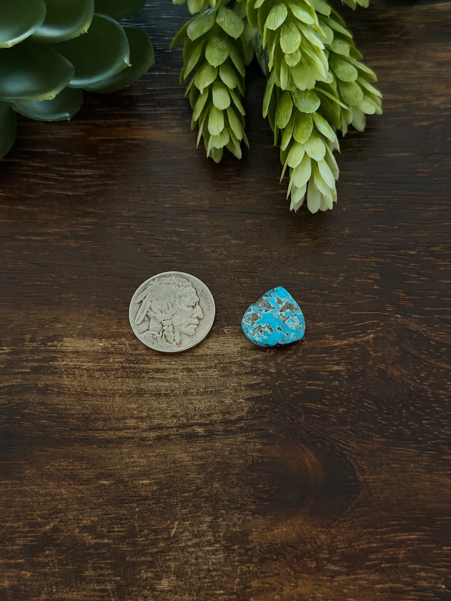 Blue Bird Turquoise Cab
