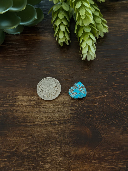Blue Bird Turquoise Cab