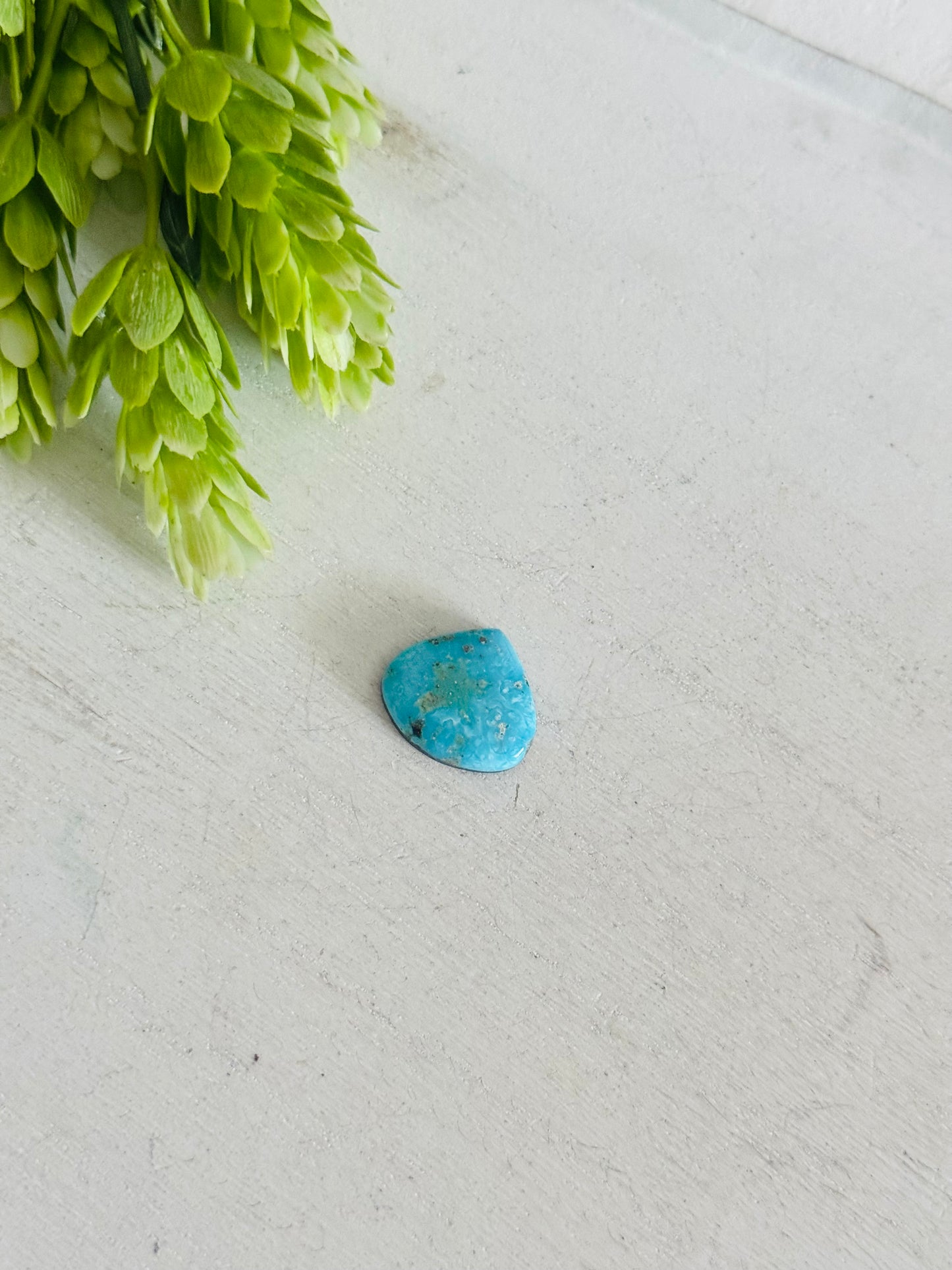 Blue Bird Turquoise Cab